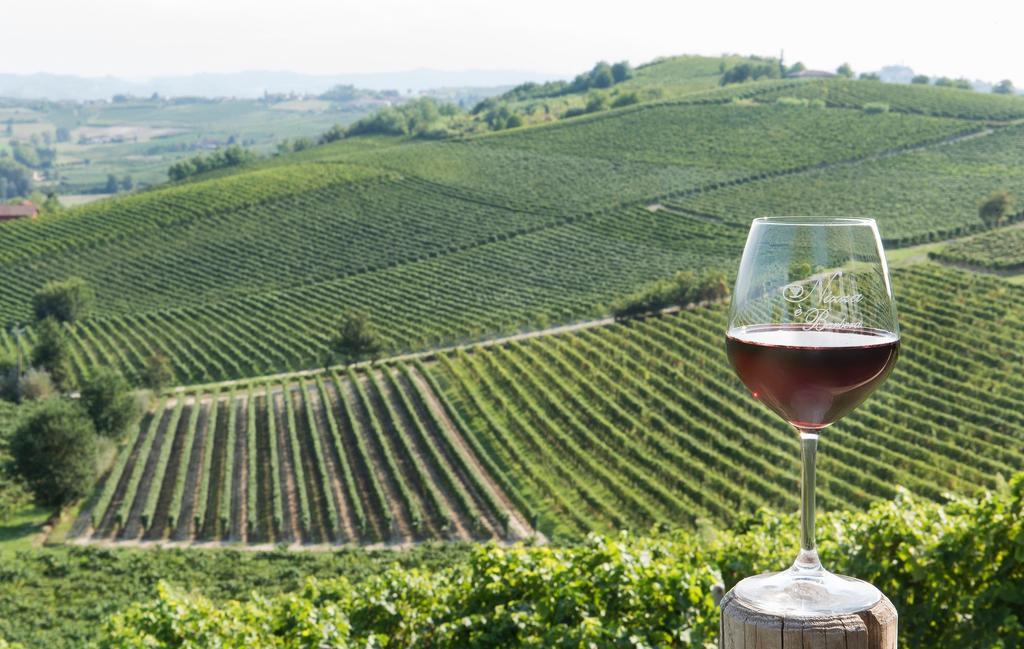 ניצה מונפראטו Agriturismo Albarossa מראה חיצוני תמונה