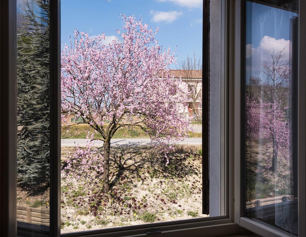 ניצה מונפראטו Agriturismo Albarossa מראה חיצוני תמונה