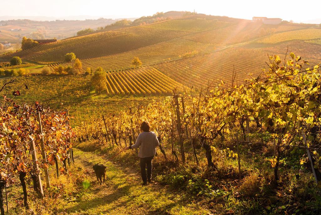ניצה מונפראטו Agriturismo Albarossa מראה חיצוני תמונה