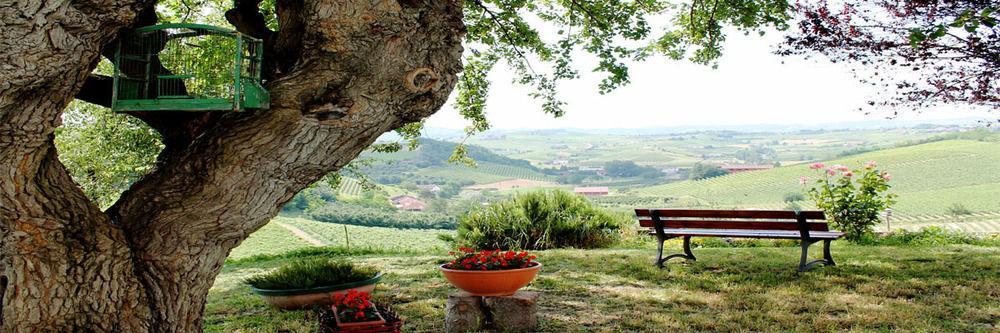 ניצה מונפראטו Agriturismo Albarossa מראה חיצוני תמונה
