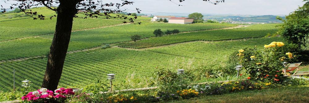 ניצה מונפראטו Agriturismo Albarossa מראה חיצוני תמונה