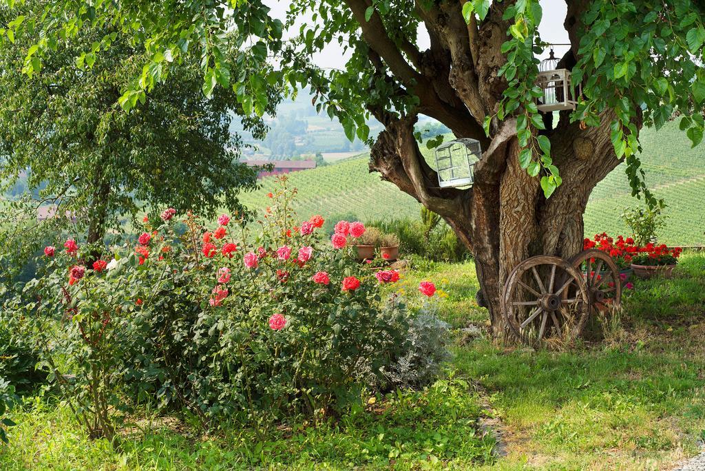 ניצה מונפראטו Agriturismo Albarossa מראה חיצוני תמונה