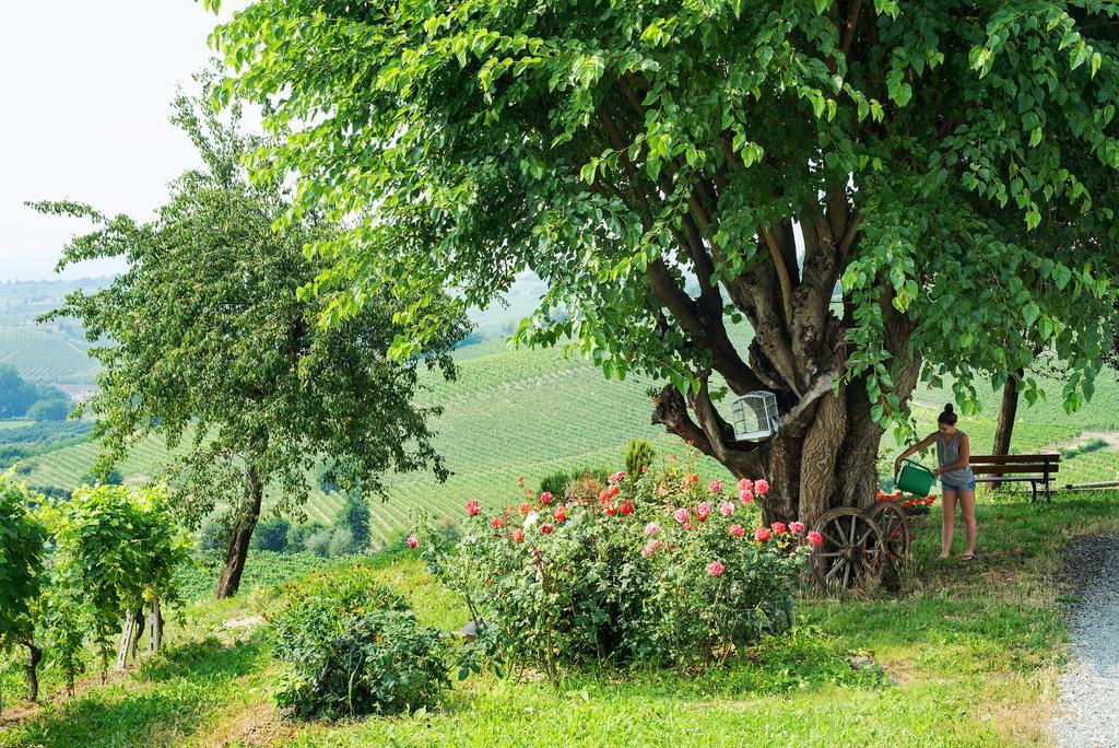 ניצה מונפראטו Agriturismo Albarossa מראה חיצוני תמונה