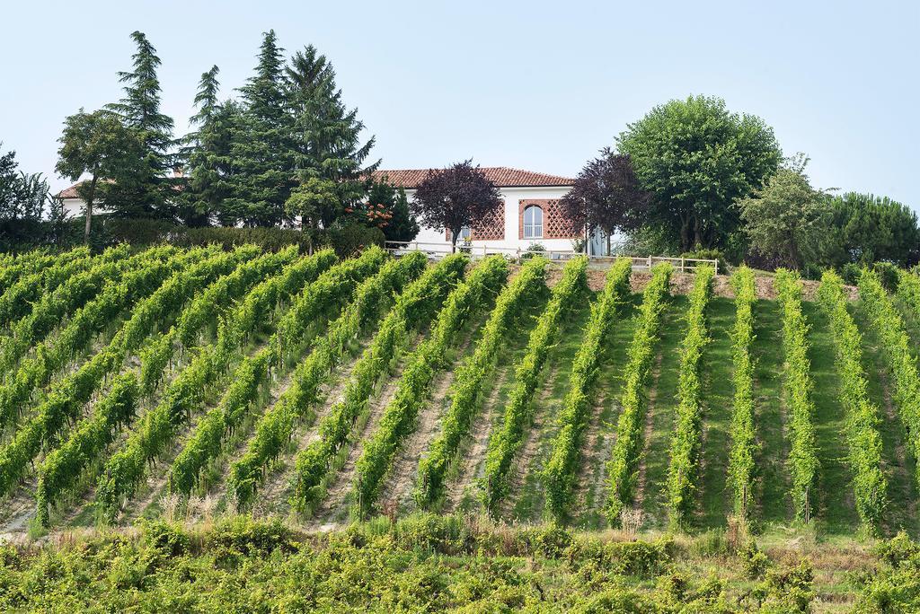 ניצה מונפראטו Agriturismo Albarossa מראה חיצוני תמונה